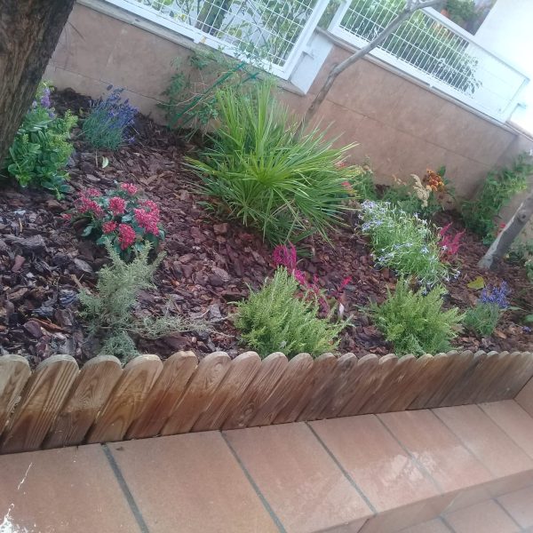 creacion_de_jardines 1