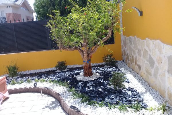 creacion_de_jardines 2 creacion_de_jardines 2
